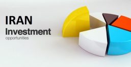 INVEST-IN-A-big company-mpci